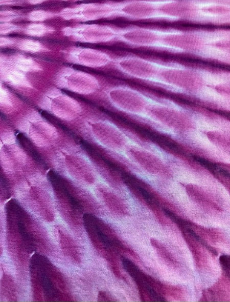 Incline fan fold, dye under ice. Photo credit: Scott Walker, Rad Dyes.