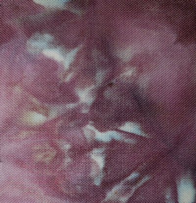 Raspberry mist swatch dye over ice