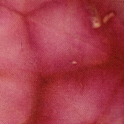 scarlet begonia dye over ice