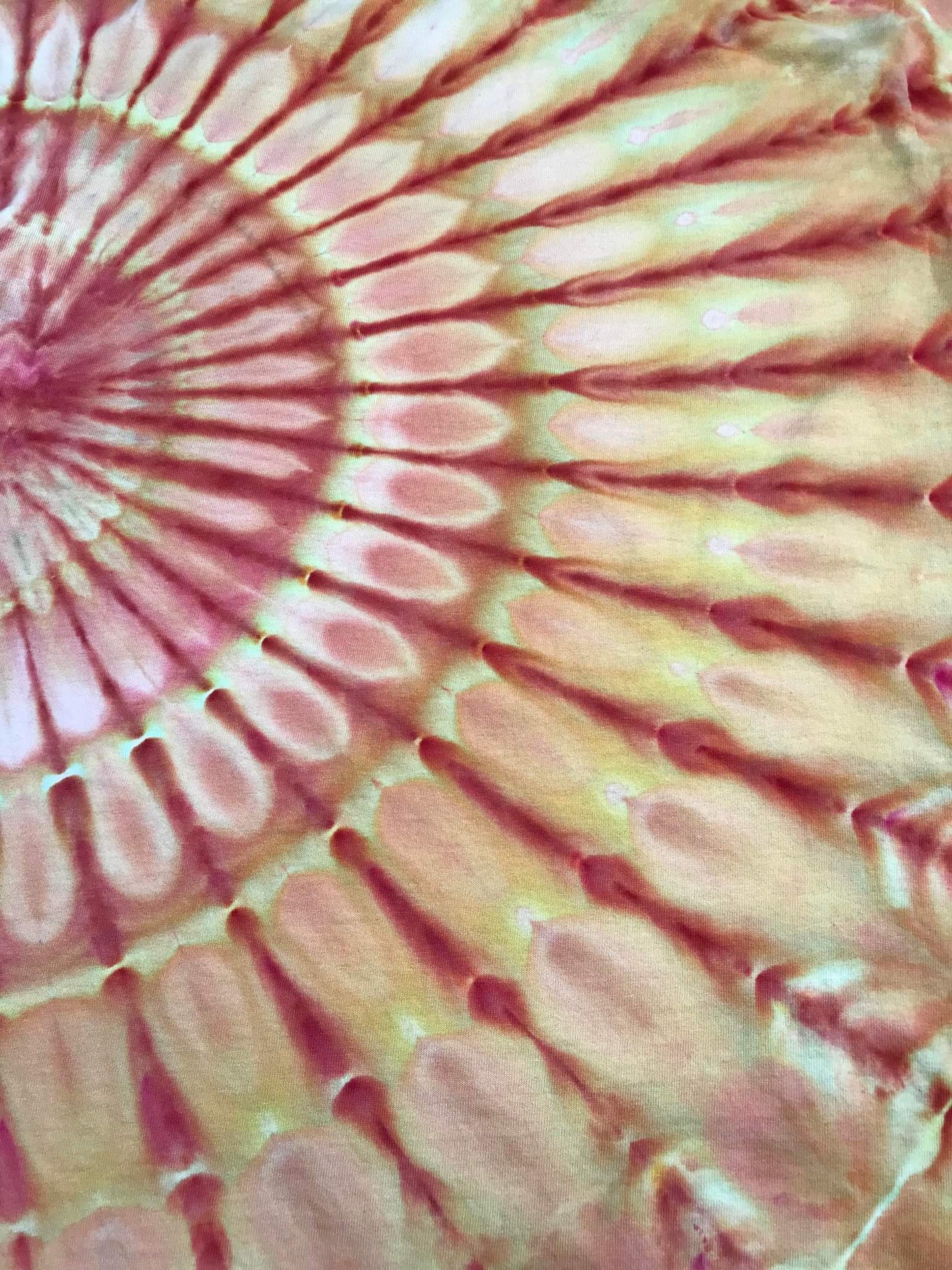Fan fold, dye under ice. Photo credit: Scott Walker, Rad Dyes.