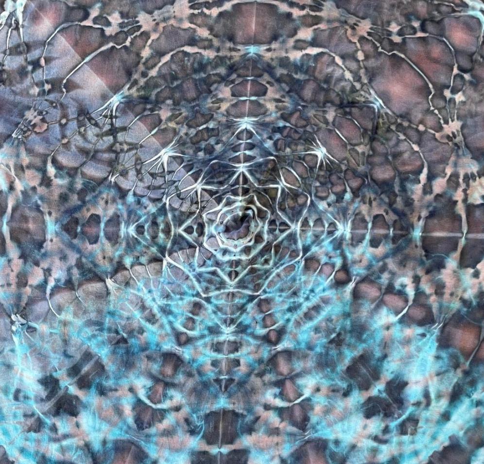 Mandala, hot water irrigation. 1 tbs dye to 1/3 cup soda ash. Photo credit: Brent Walker.