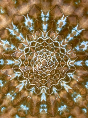 Mandala, hot water irrigation. 1 tbs dye to 1/3 cup soda ash. Photo credit: Brent Walker.