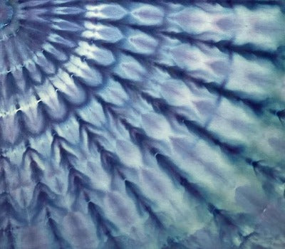 Incline fan fold, dye under ice. Photo credit: Scott Walker, Rad Dyes.