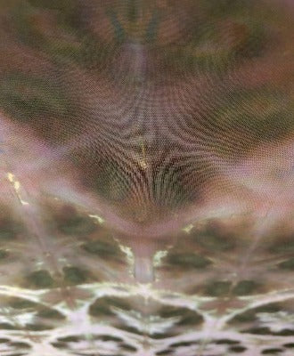 Shibori fold, dye under ice. Photo credit: Margo Farnsworth.