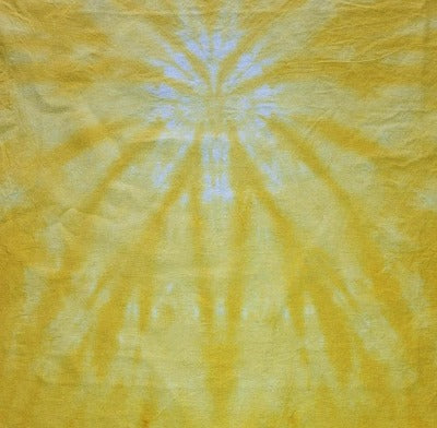 Spider fold, liquid dyed at 1tsp dye per 8oz water and 4 tsp dye per 8oz water. Photo credit: Cody Villalva.