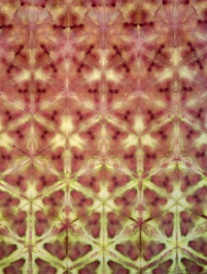 Shibori folded, dye under ice. Photo credit: Margo Farnsworth.