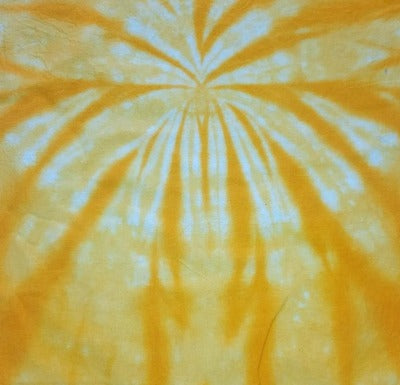 Spider fold, liquid dyed at 1tsp dye per 8oz water and 4 tsp dye per 8oz water. Photo credit: Cody Villalva.