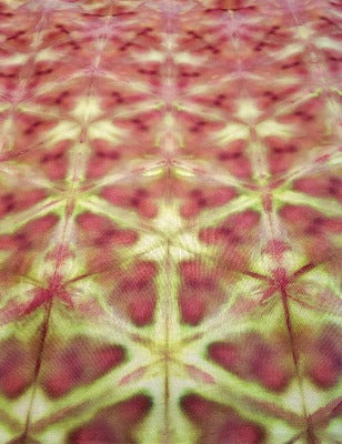 Shibori folded, dye under ice. Photo credit: Margo Farnsworth.