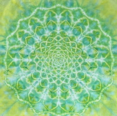 Mandala, hot water irrigation. 1 tbs dye to 1/3 cup soda ash. Photo credit: Brett Walker.